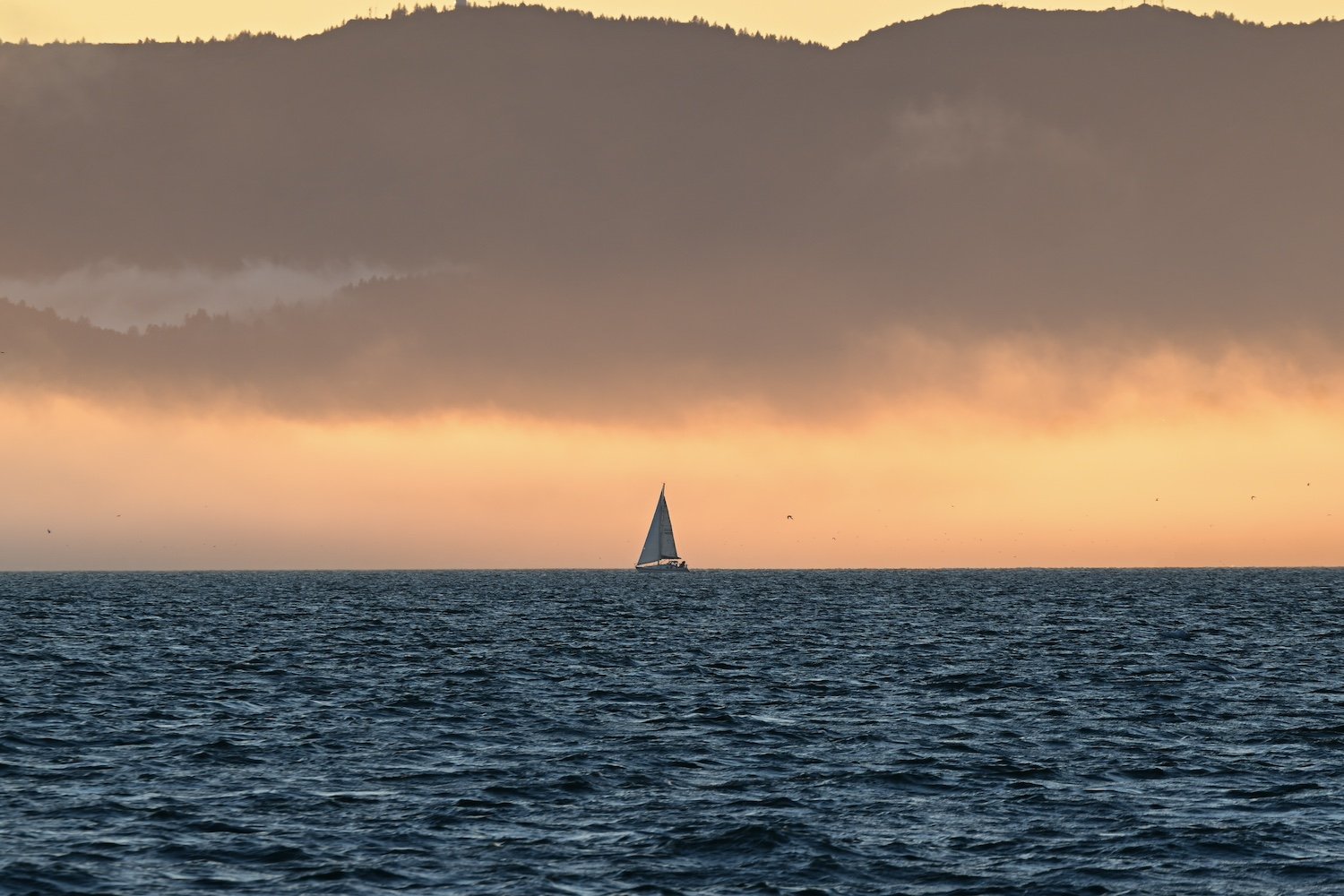 A sail boat in the San Francisco Bay