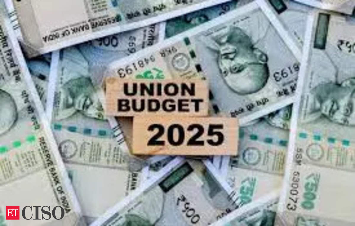 Experts React: What's Missing in Union Budget 2025