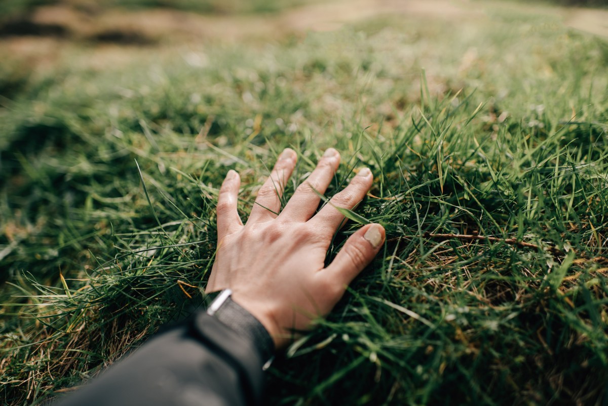 hand touching grass