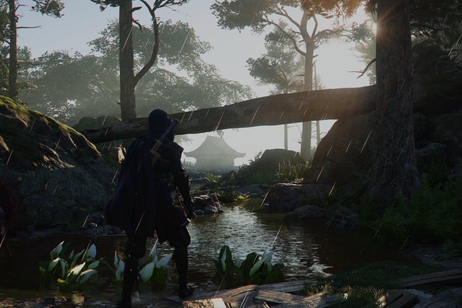 Assassin's Creed Shadows Hero 1
