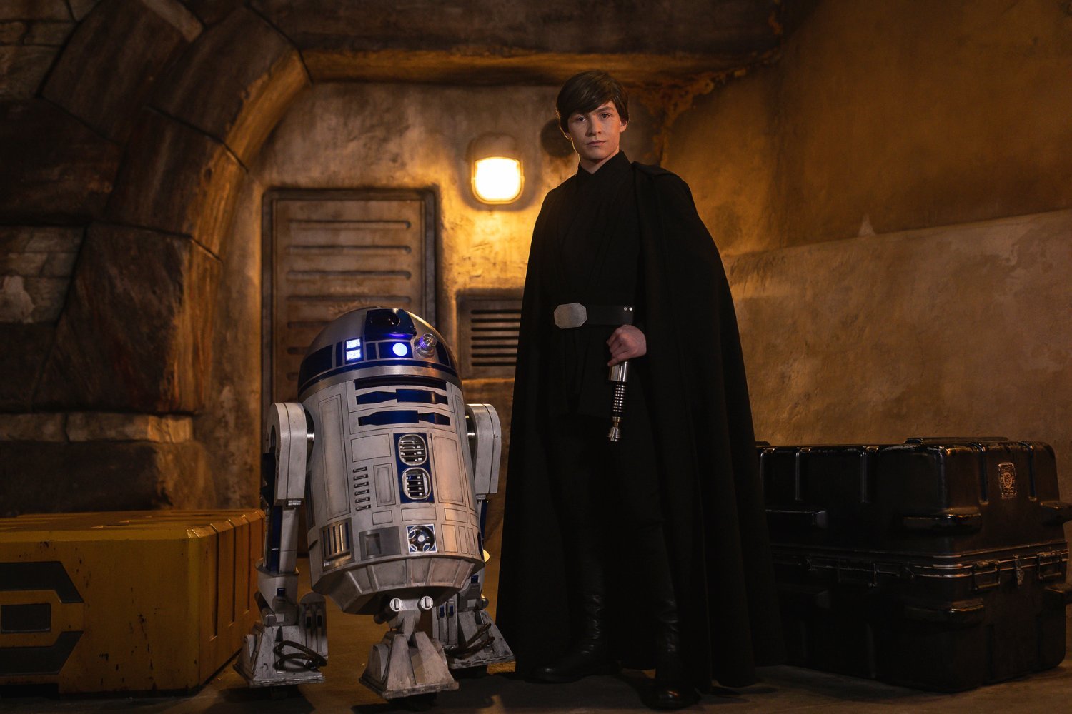 Luke Skywalker Disney Experiences