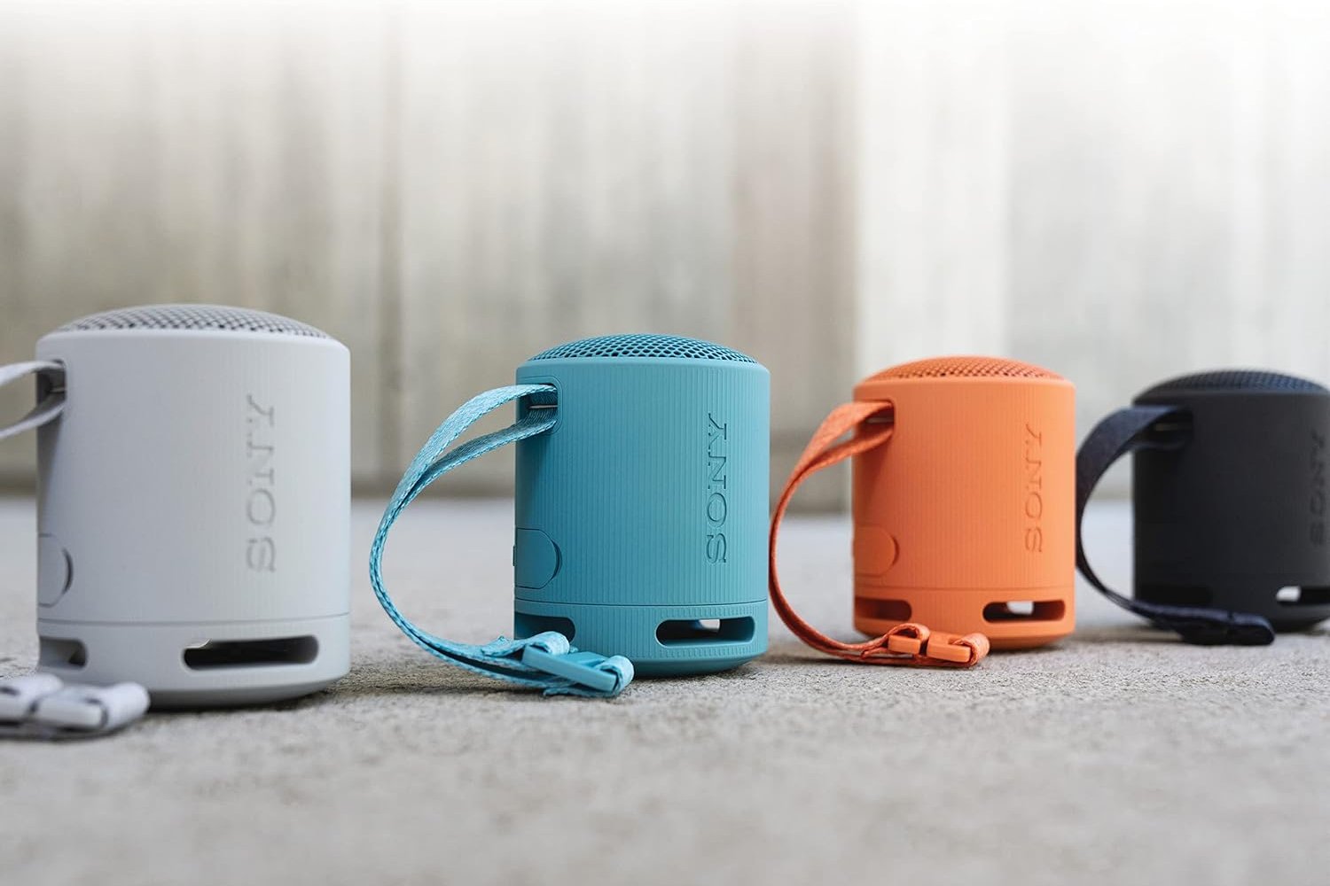 Sony Srs Xb100