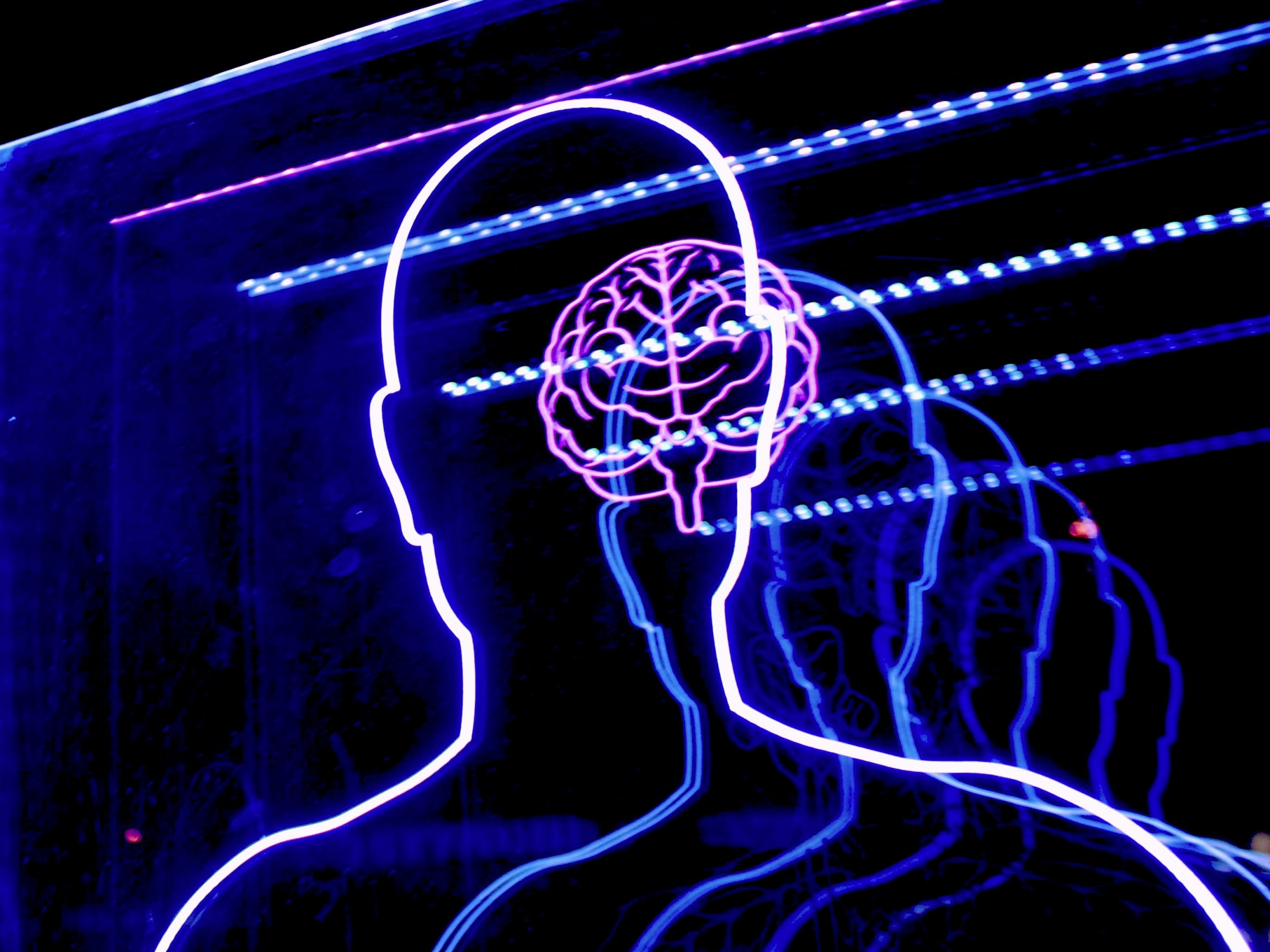 Anthropic shares Claude's 'AI biology' insights