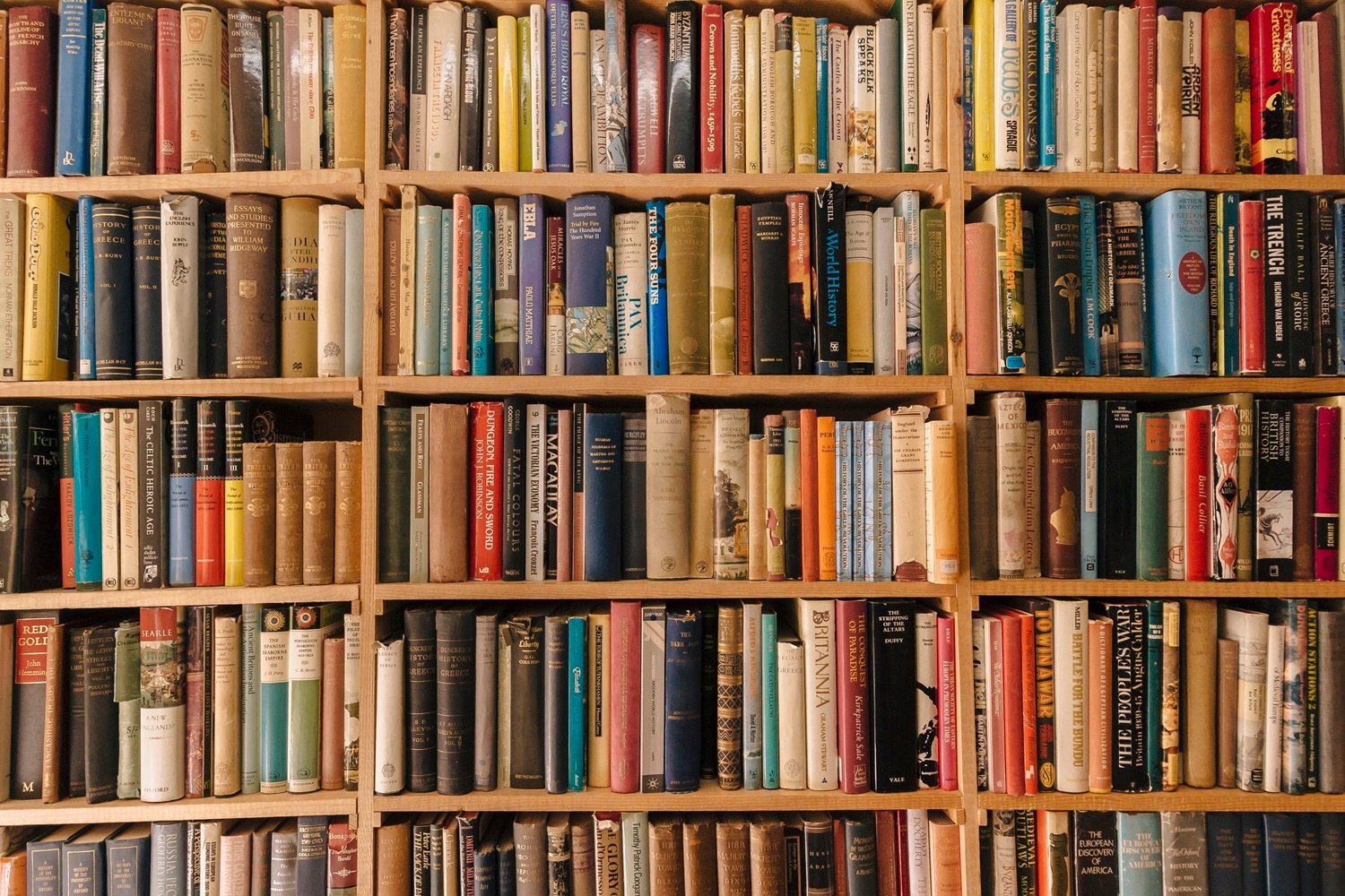 Bookshelves full of bound books