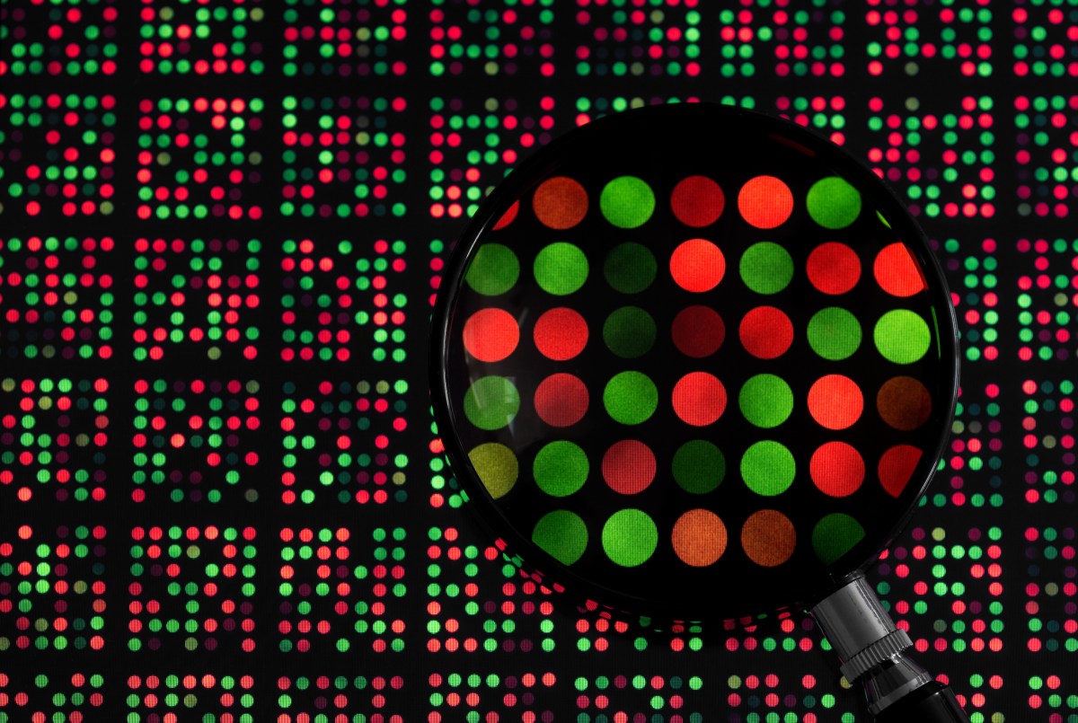 magnifying glass examining DNA chip