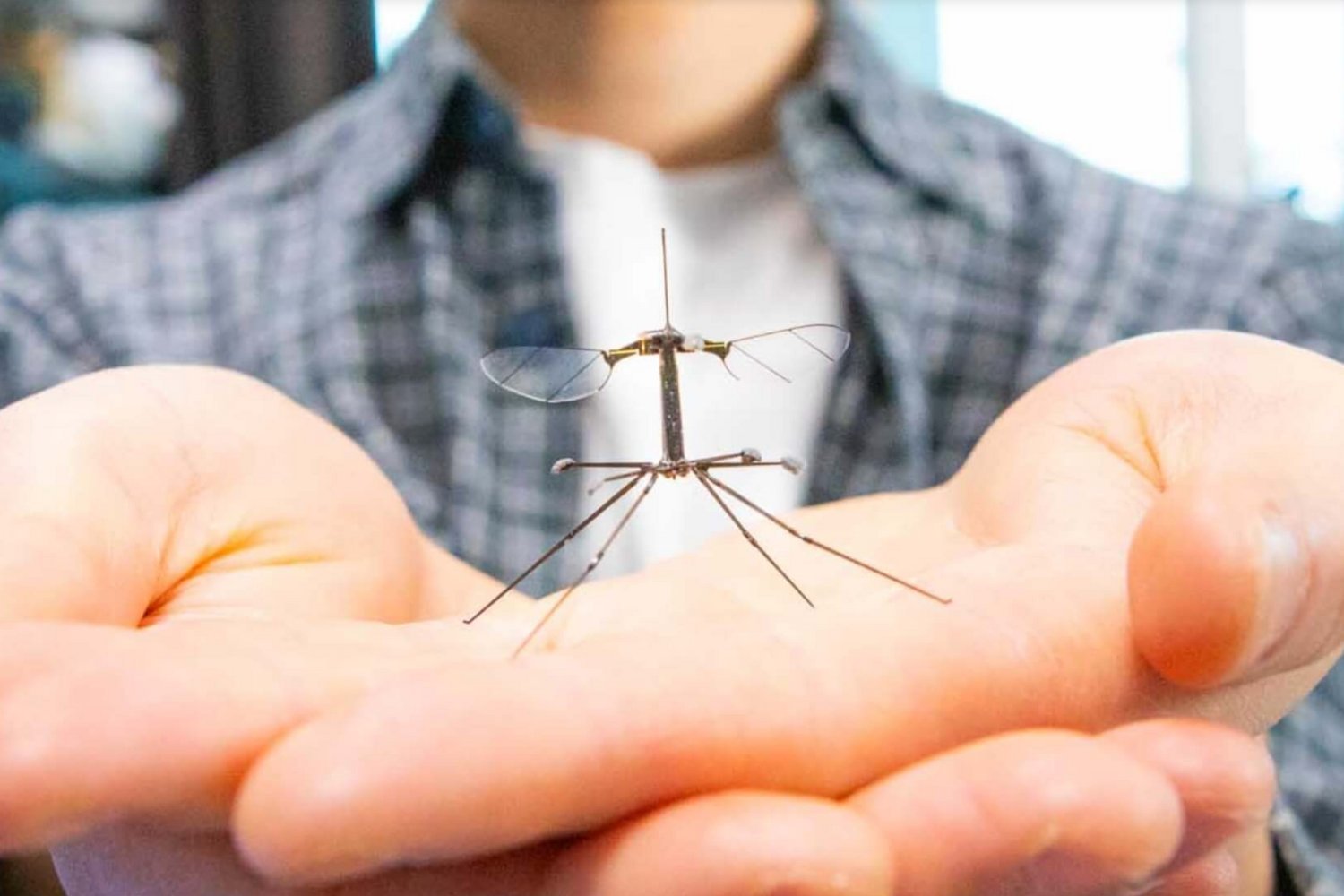Robobee Closeup