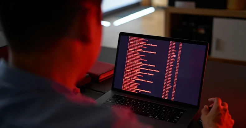 Smishing Triad Tied to 194k Malicious Domains